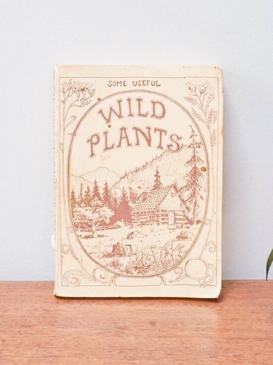 Talon Books Other - Some Useful Wild Plants - 1973 - David Manning - Vintage Foraging Guide